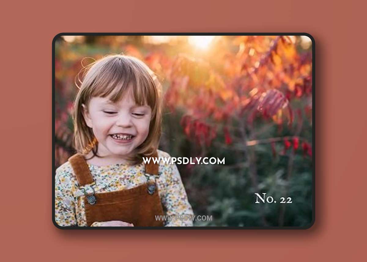 Twig & Olive - Warm Film Photoshop Actions