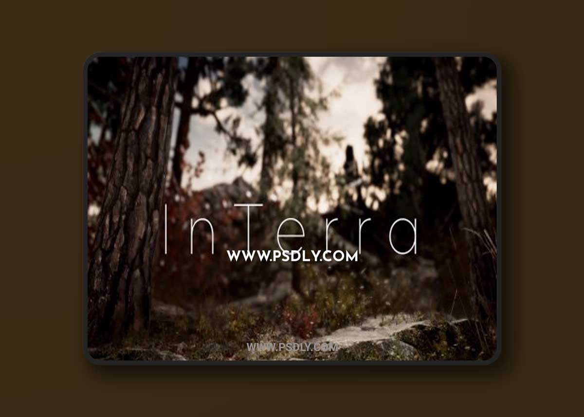 Unity - InTerra ~ Terrain Features | VFX Shaders v1.3.0