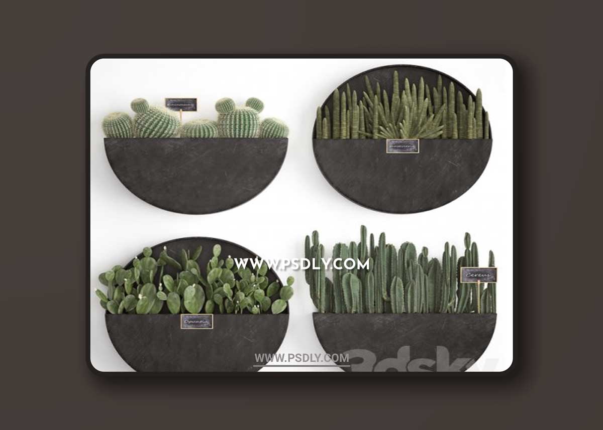 Vertical gardening. 55 3D Model