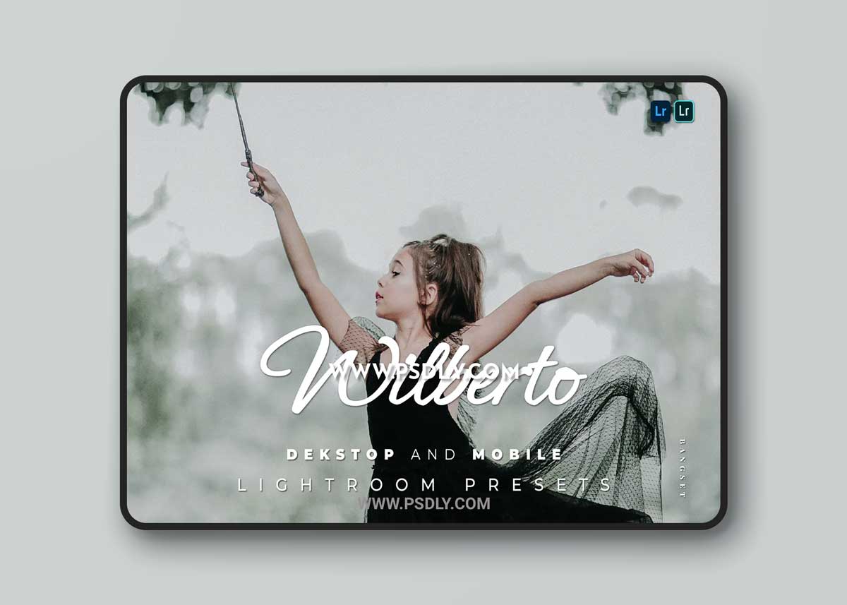 Wilberto Desktop and Mobile Lightroom Preset