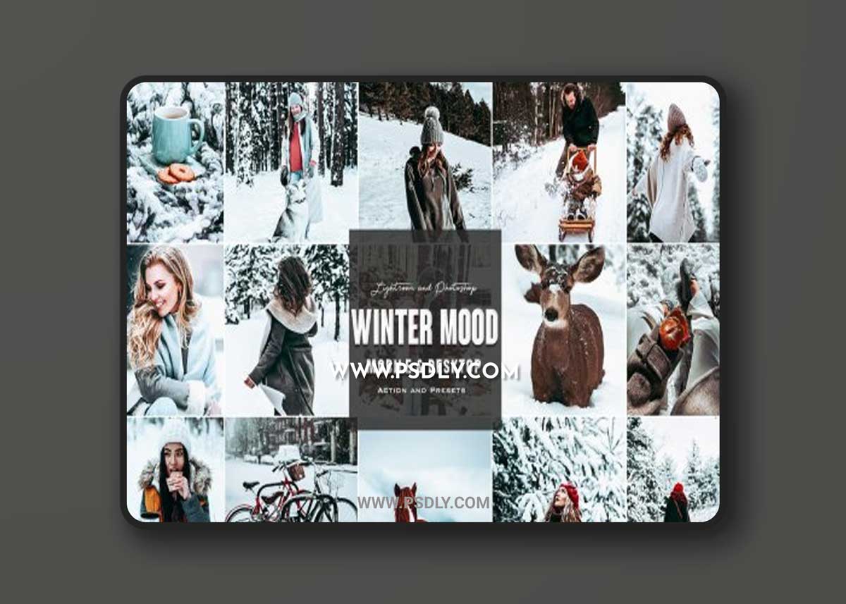 Winter - Photoshop & Lightroom Presets and PC