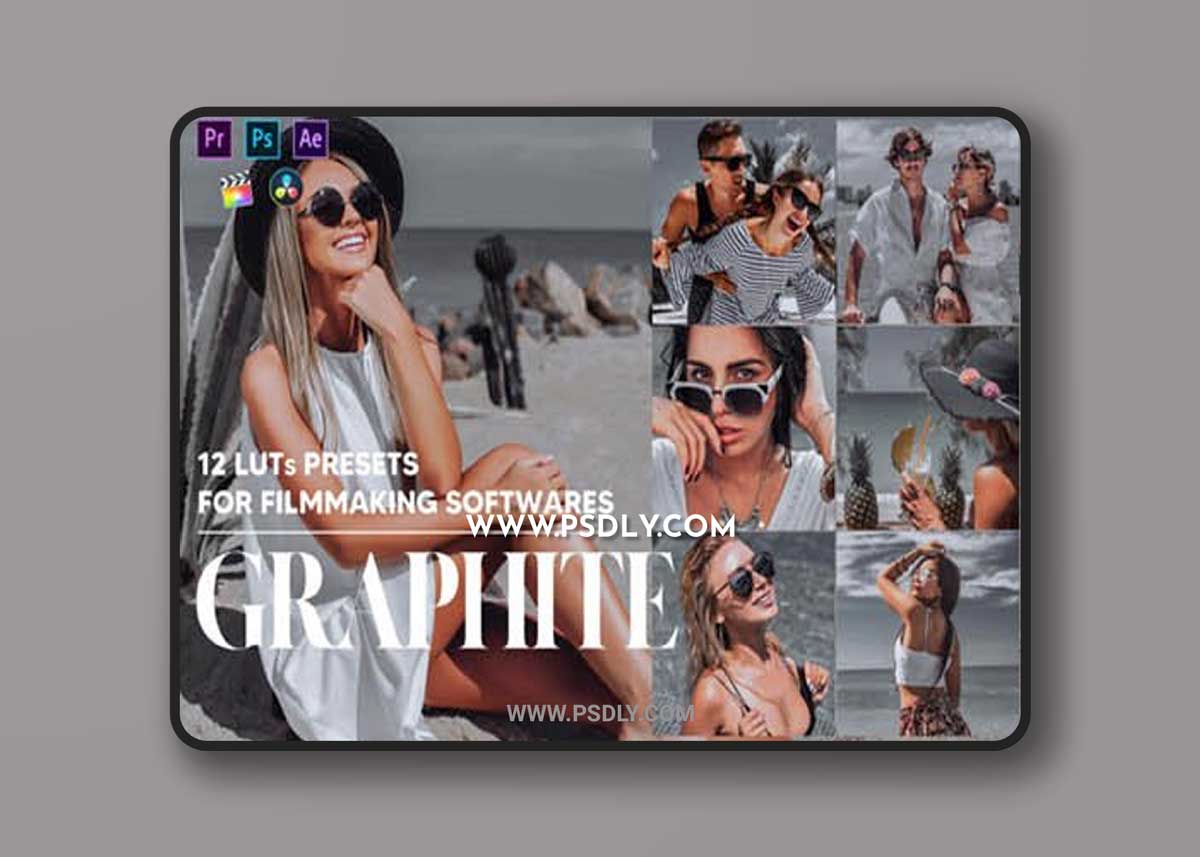 12 Graphite Video LUTs Presets