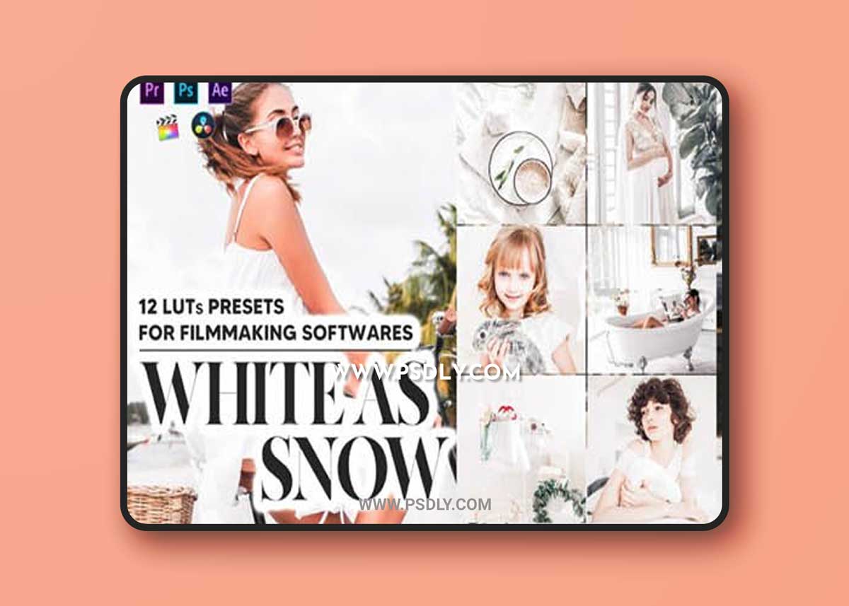 12 White As Snow Video LUTs Presets