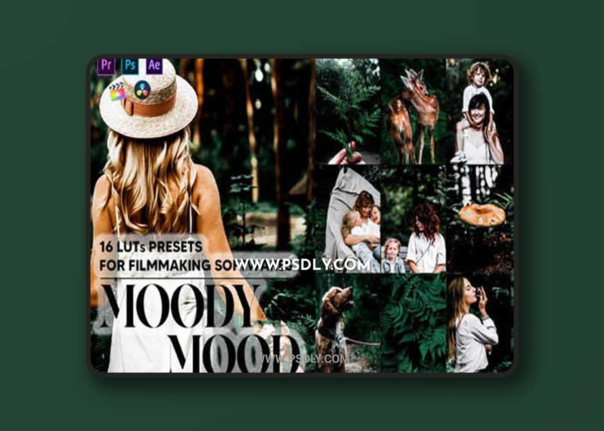 16 Moody Mood Video LUTs Presets