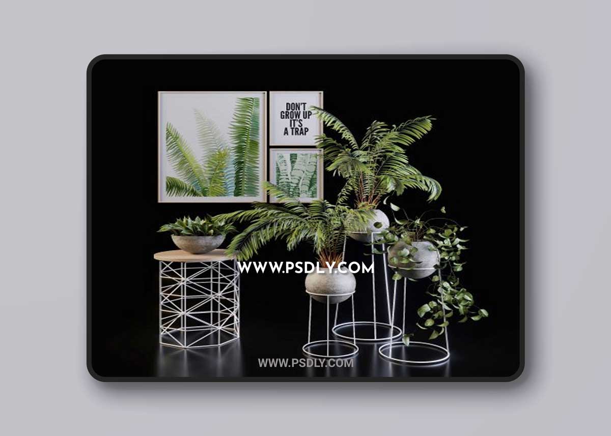3D Green set - Plants set 107 3D Model