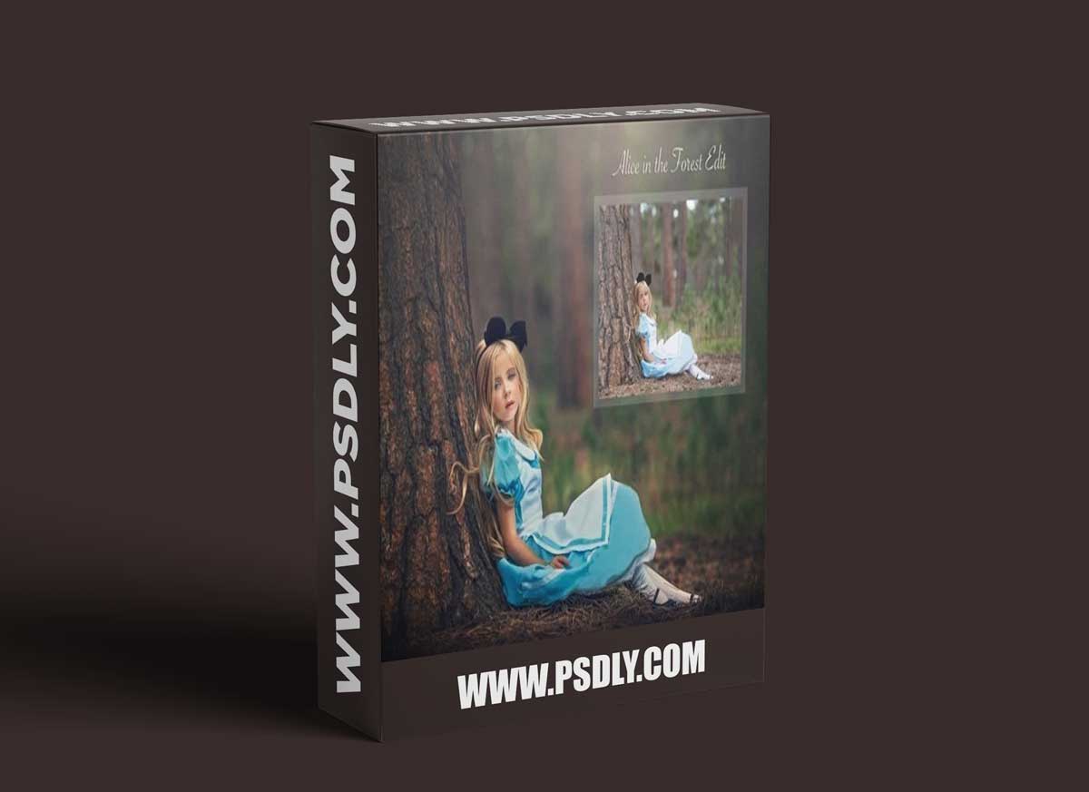 Alice in The Forest by Lisset Perrier Photography