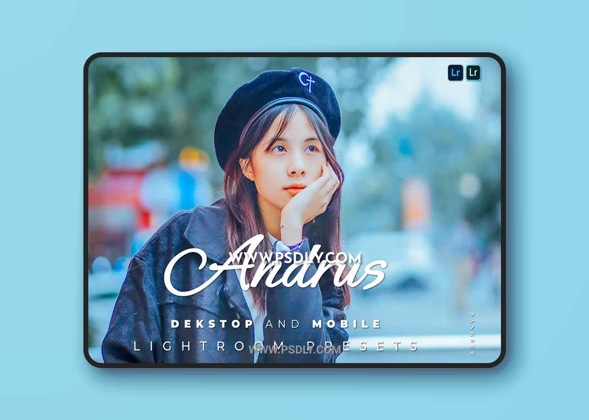 Andrus Desktop and Mobile Lightroom Preset