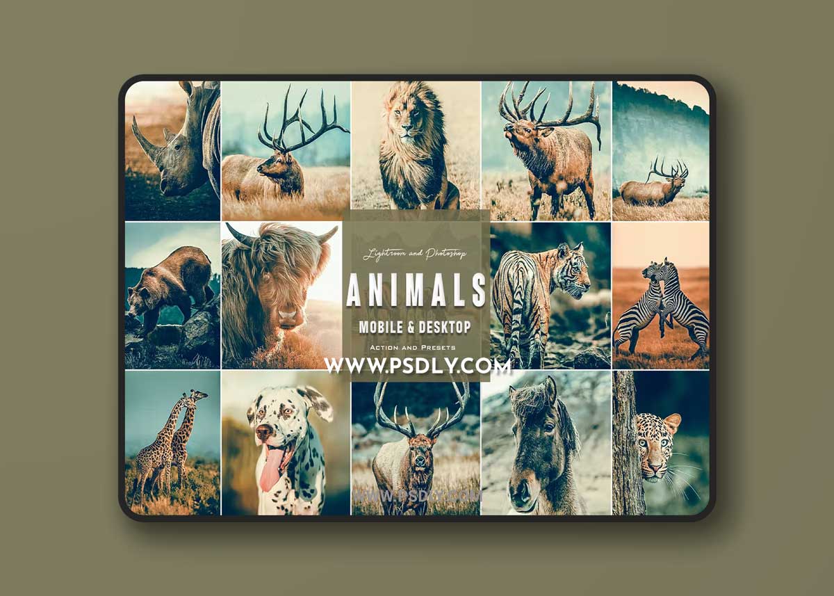 Animals Cinematic - Photoshop Actions & Presets