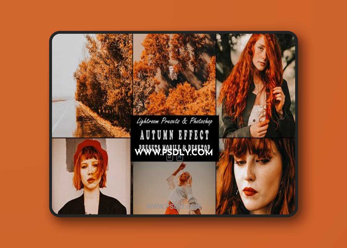 Autumn Photoshop Action & Lightrom Presets