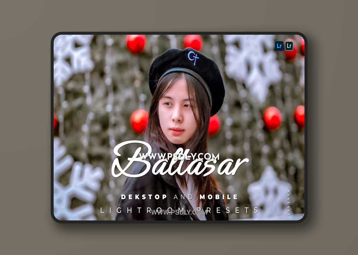 Baltasar Desktop and Mobile Lightroom Preset