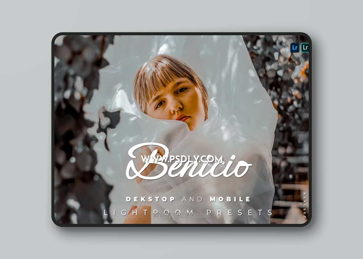 Benicio Desktop and Mobile Lightroom Preset