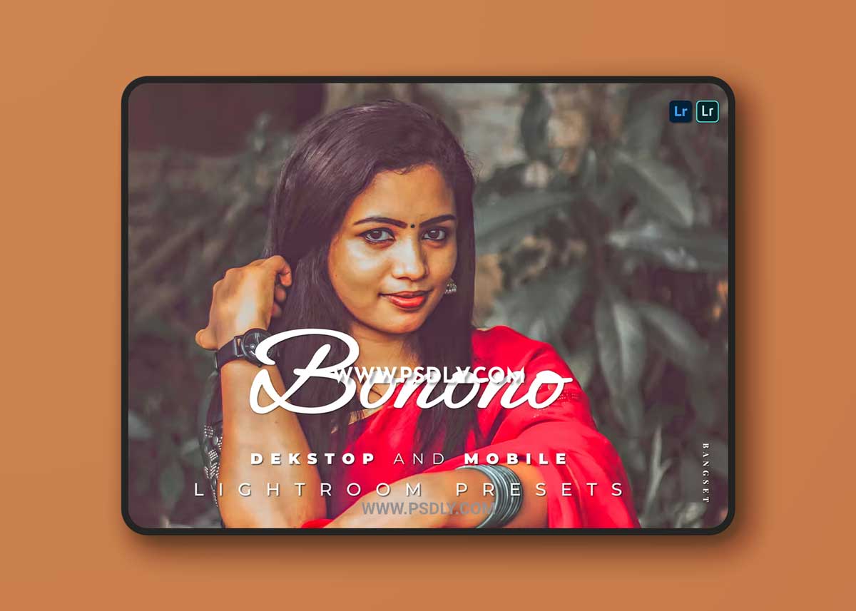 Bonono Desktop and Mobile Lightroom Preset