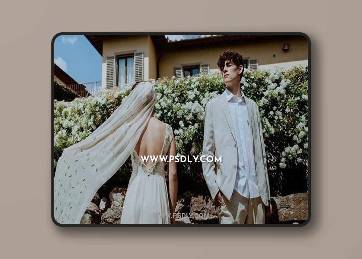 Brandi Potter - Hex Presets