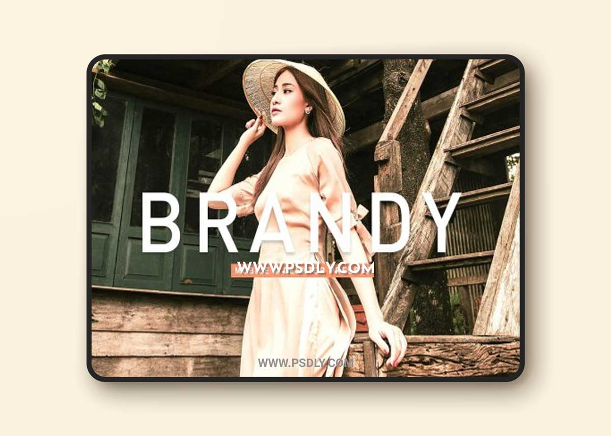 CreativeMarket - Brandy Pro Lightroom Presets 6922995