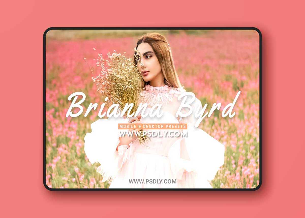 CreativeMarket - Brianna Byrd Pro Lightroom Presets 6811484