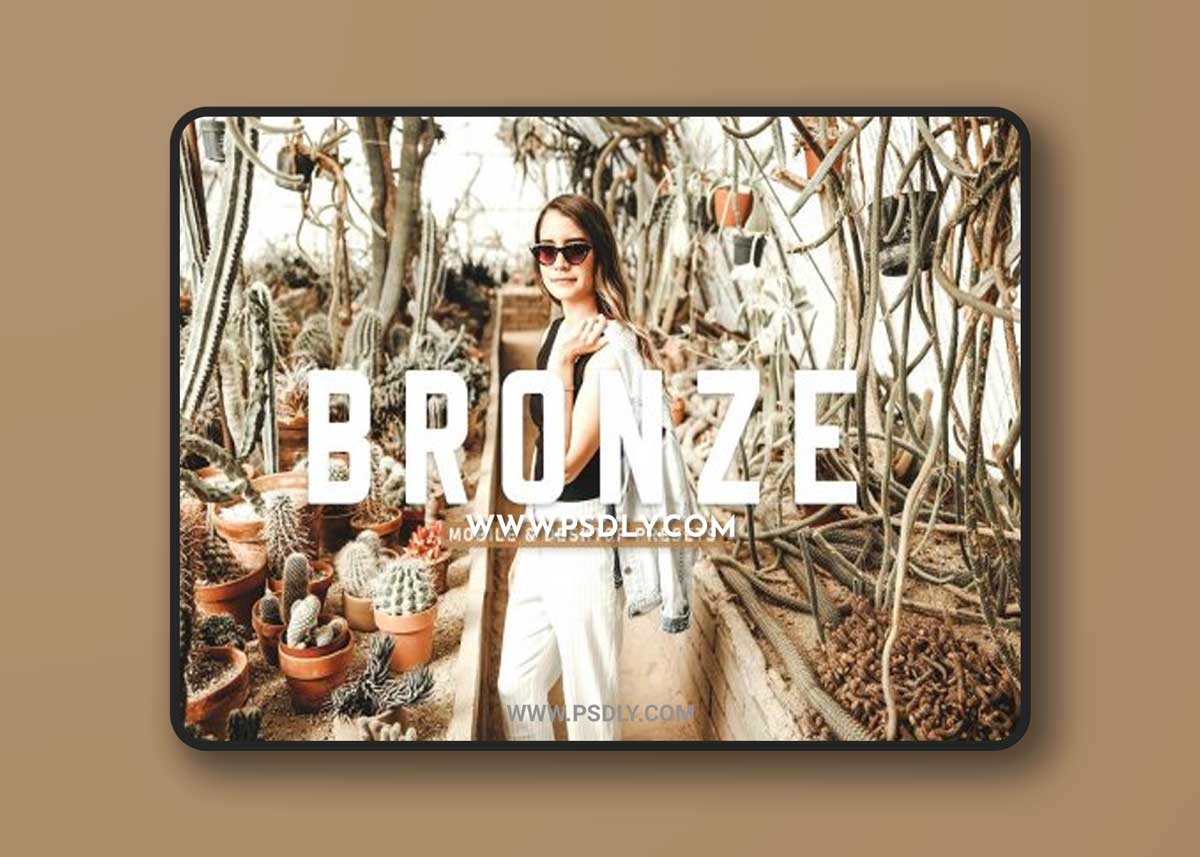 CreativeMarket - Bronze Pro Lightroom Presets 6923026