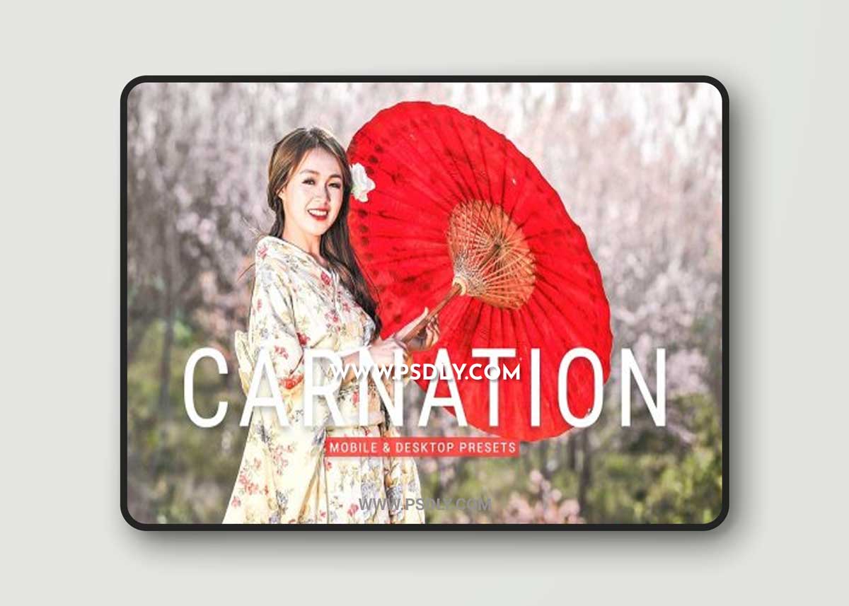 CreativeMarket - Carnation Pro Lightroom Presets 6896625