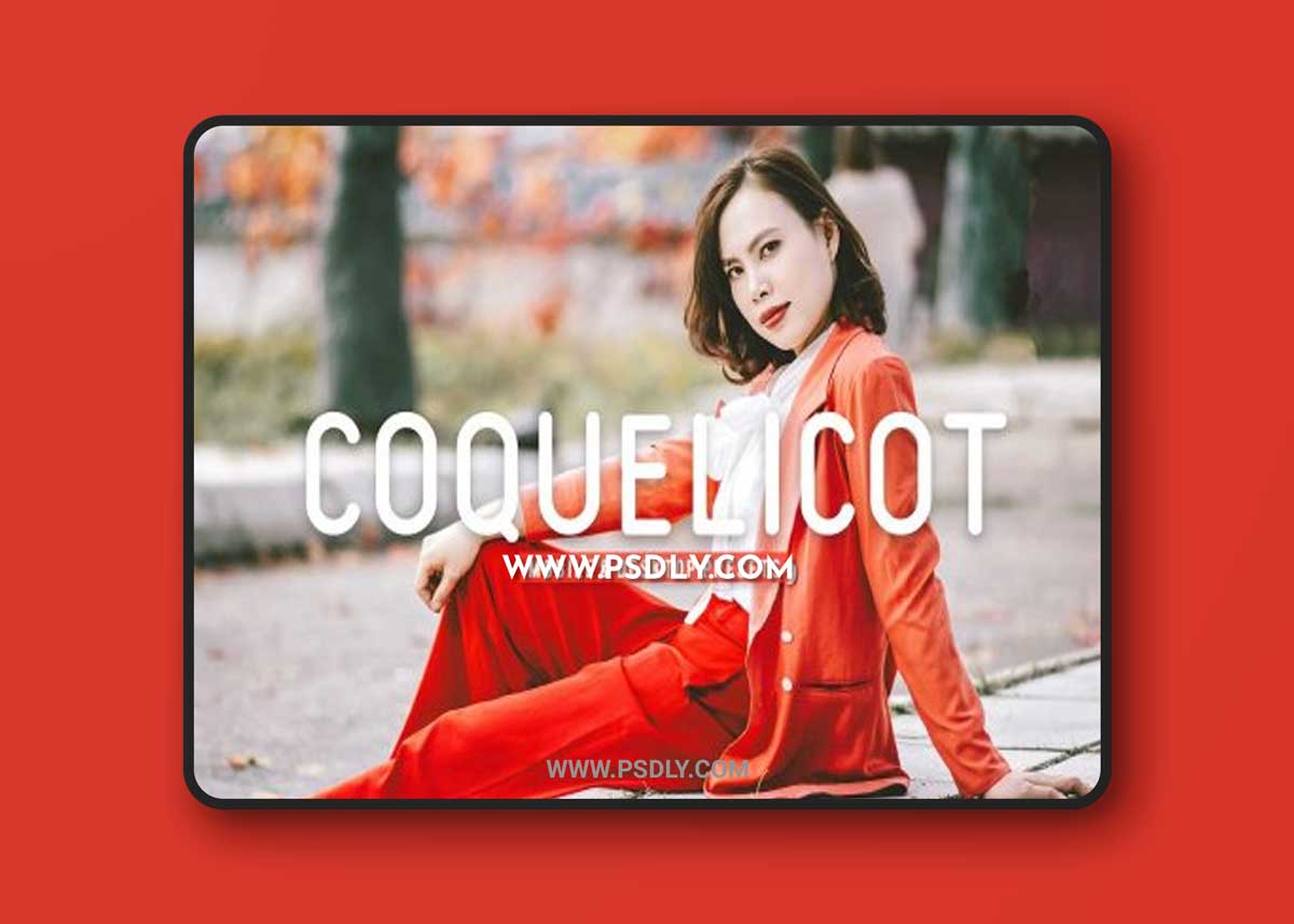 CreativeMarket - Coquelicot Pro Lightroom Presets 6897992
