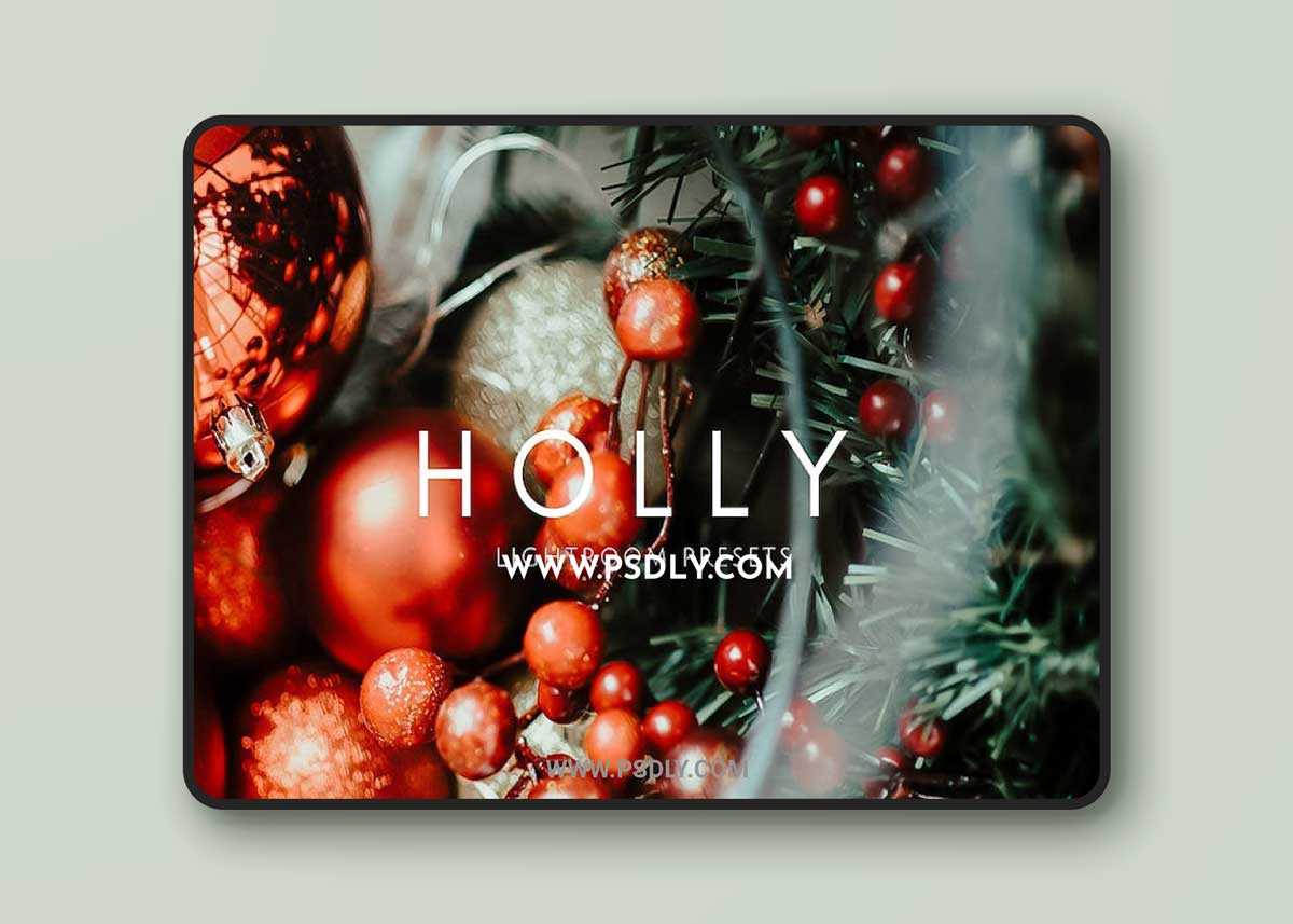 CreativeMarket - HOLLY Rich Vibrant Lightroom Presets 3315942