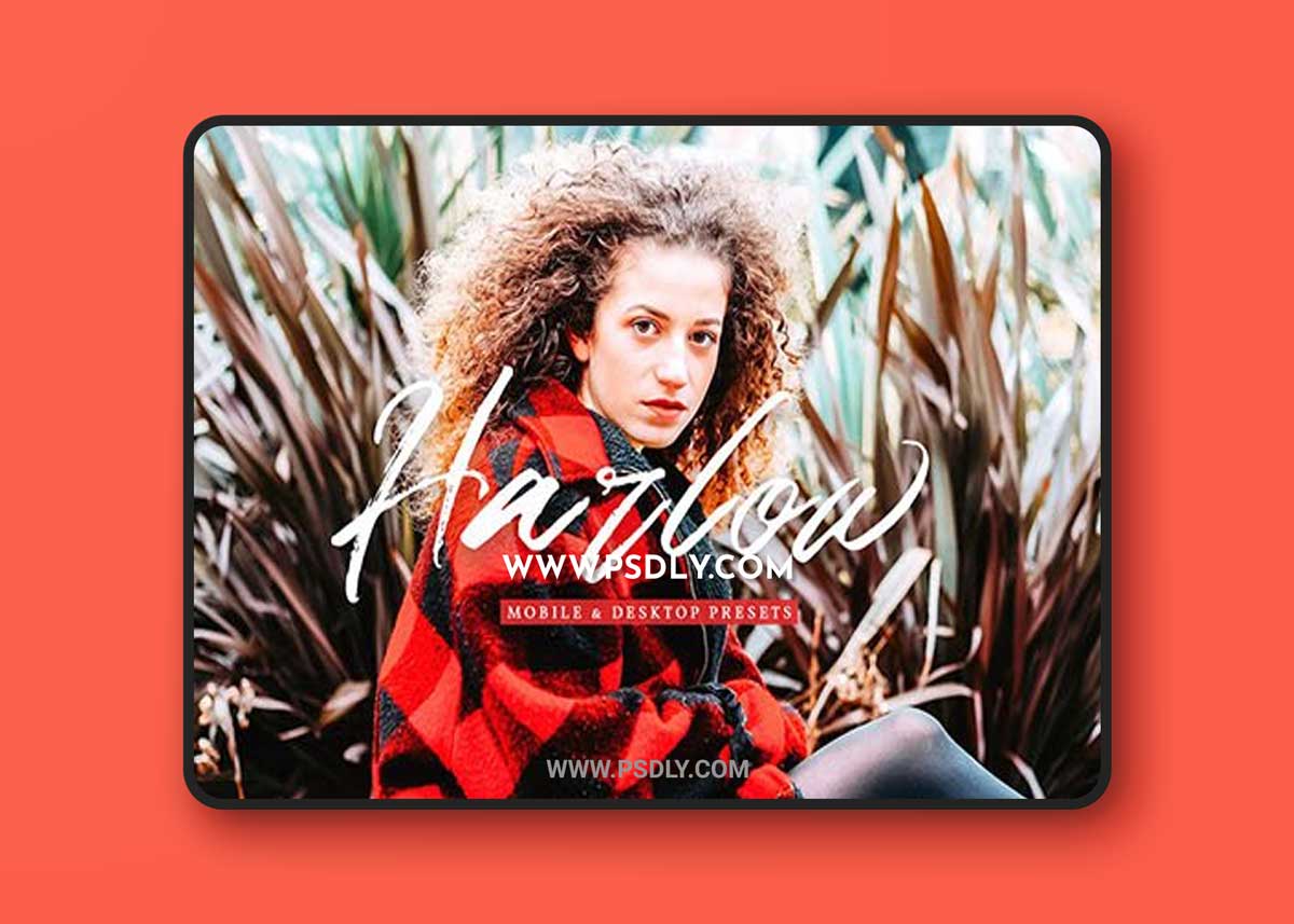 CreativeMarket - Harlow Pro Lightroom Presets 6812678