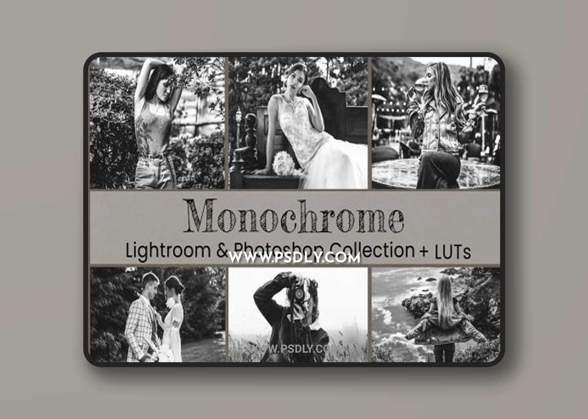 CreativeMarket - Monochrome Lightroom Photoshop LUT 6802983