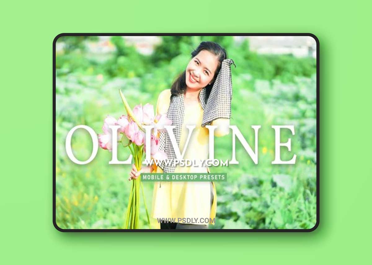 CreativeMarket - Olivine Pro Lightroom Presets 6915526