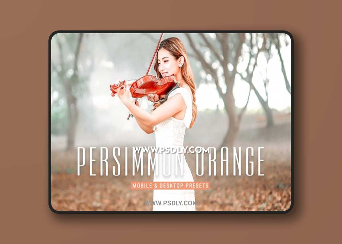 CreativeMarket - Persimmon Orange Lighroom Presets 6915633