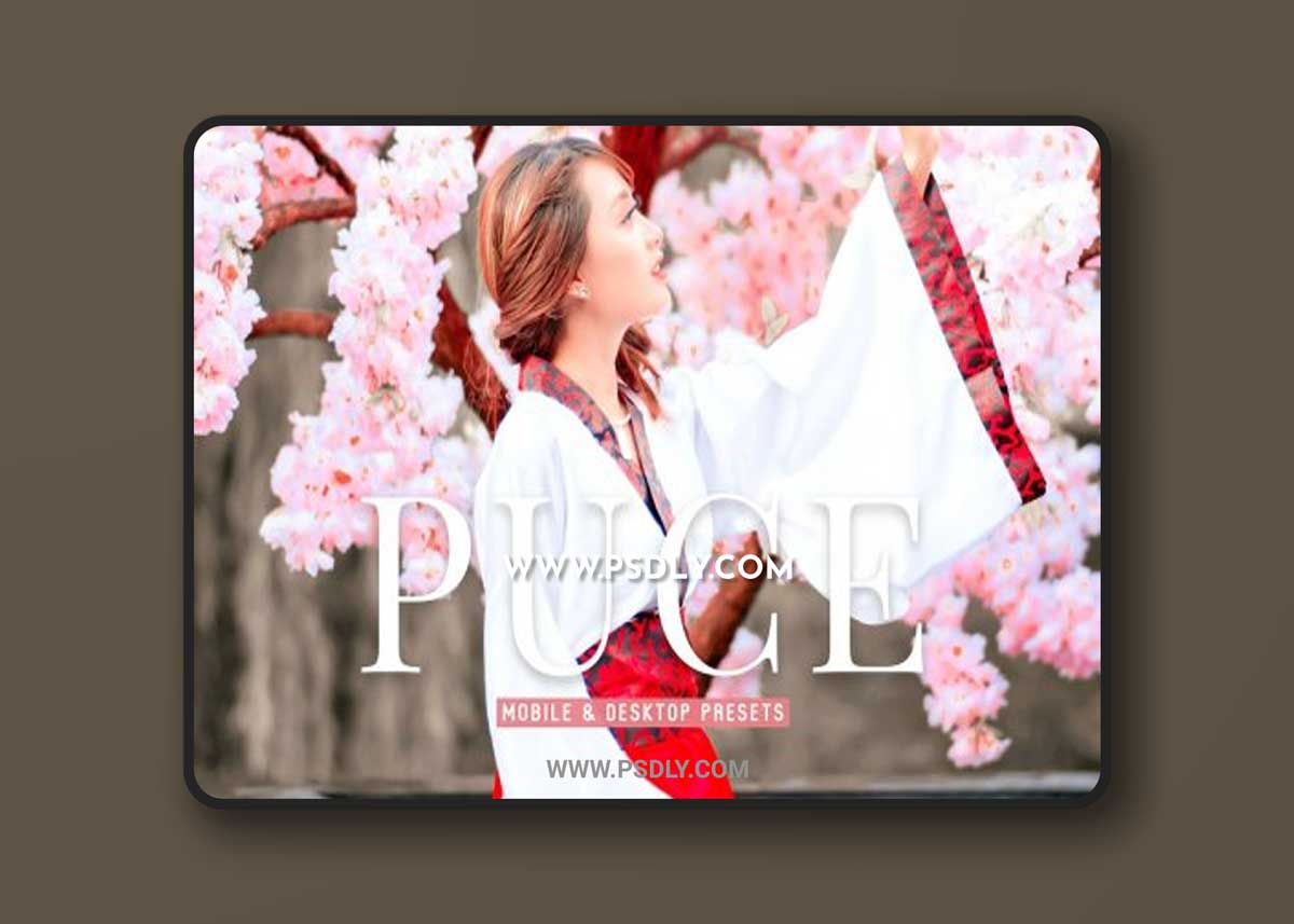 CreativeMarket - Puce Pro Lightroom Presets 6916354