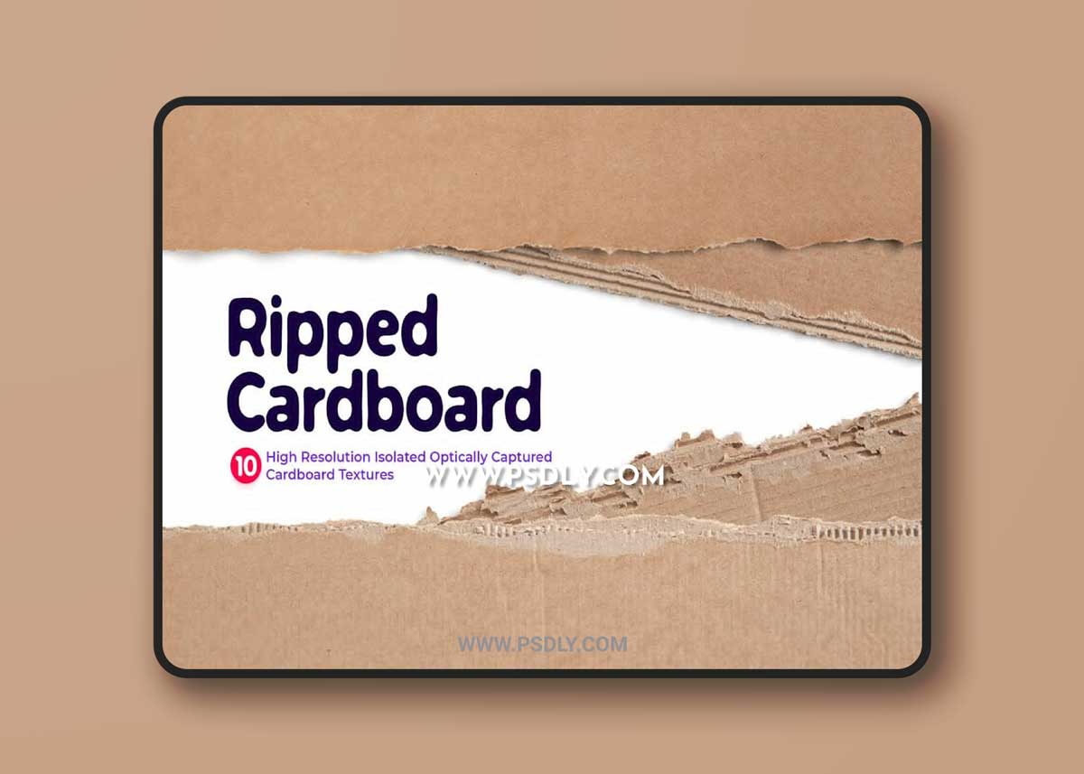 CreativeMarket - Ripped Cardboards 6725318