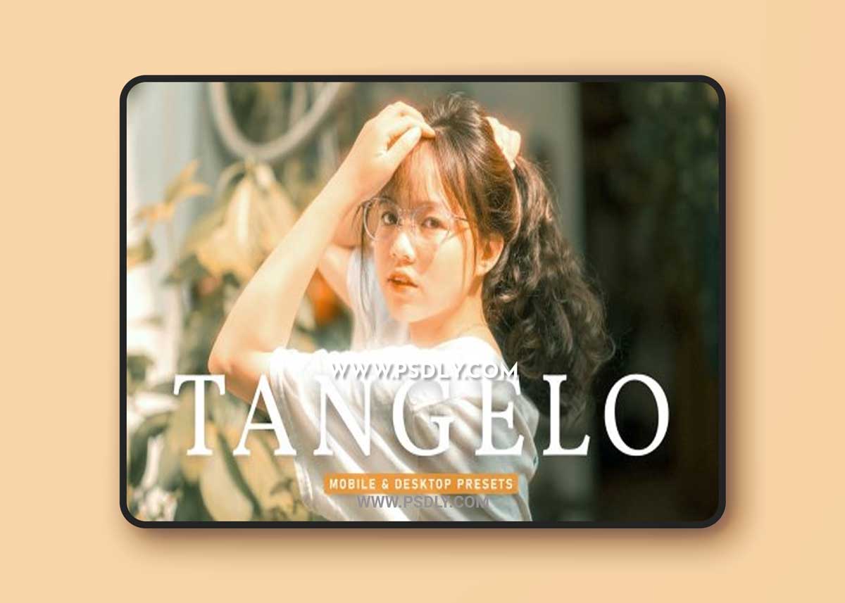 CreativeMarket - Tangelo Pro Lightroom Presets 6916495