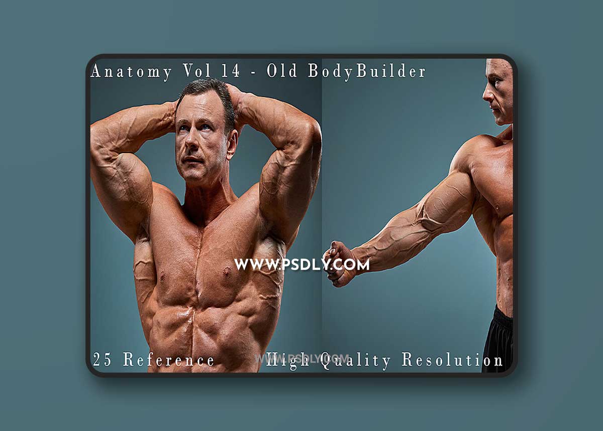 Cubebrush - Hector - Anatomy Vol 14 - Old BodyBuilder