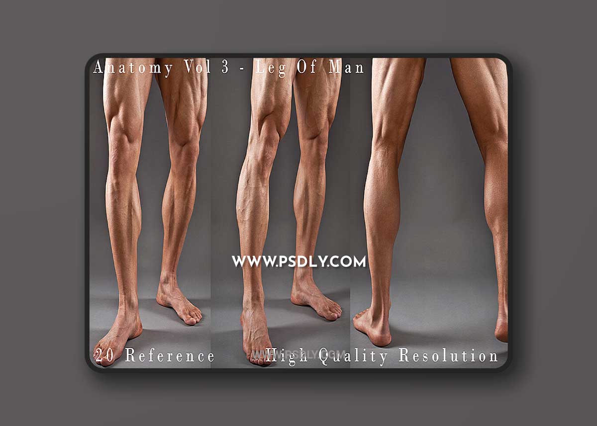 Cubebrush - Hector - Anatomy Vol 3 - Leg Of Man Details