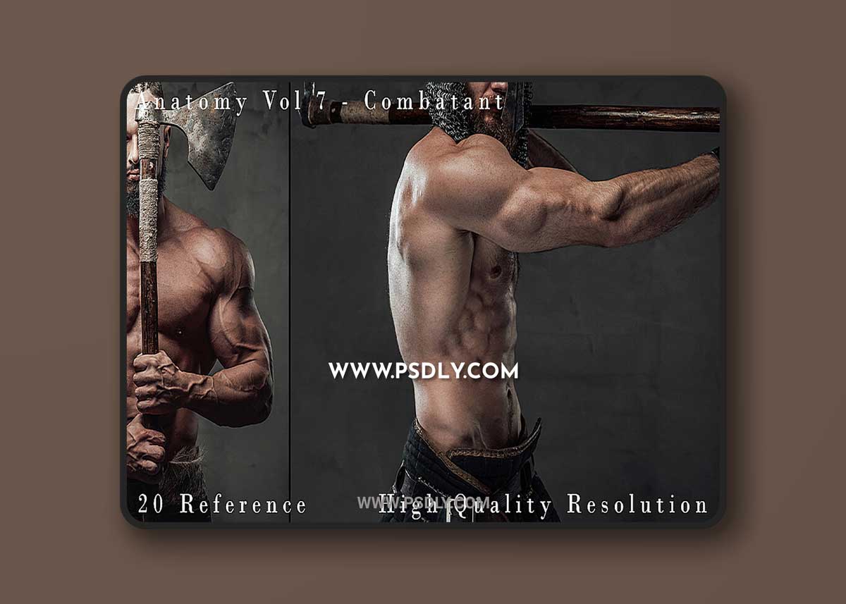 Cubebrush - Hector - Anatomy Vol 7 - Combatant