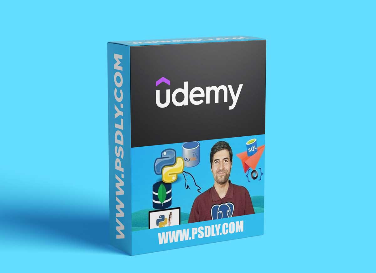 Easy Python Programming Beginners Pro Python SQL MySQL Mongo