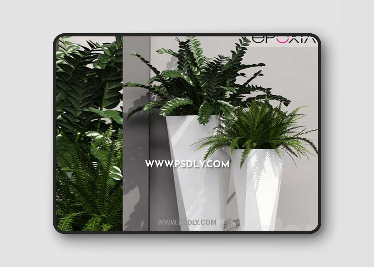 Epoxia diamond - Plants 19