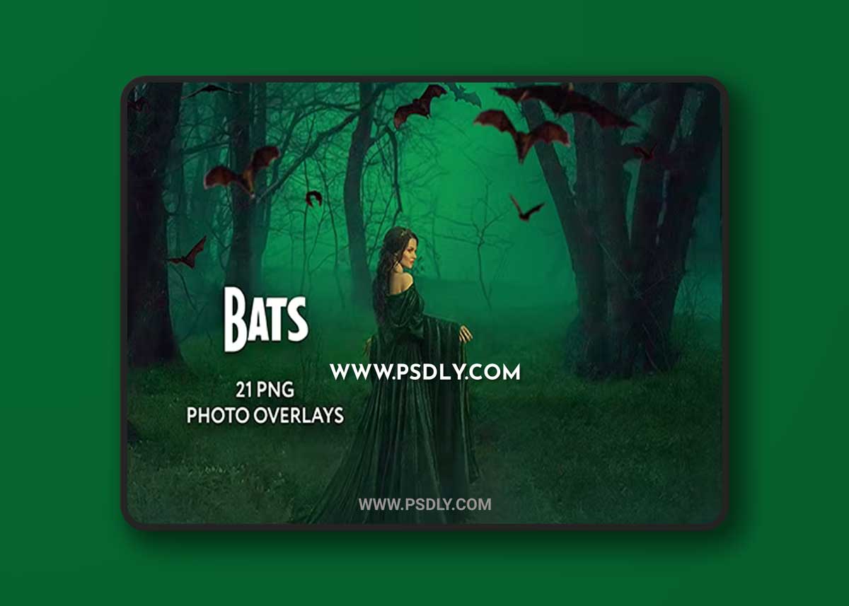GraphicRiver - 20 Bat Photo Overlays 34818303