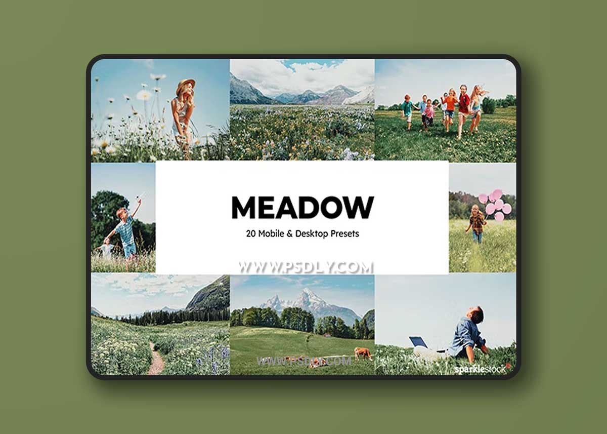 GraphicRiver - 20 Meadow Lightroom Presets 35530813