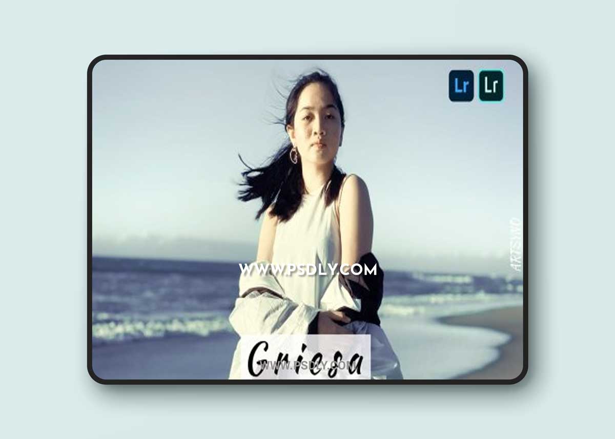 Griesa Lightroom Presets Dekstop and Mobile