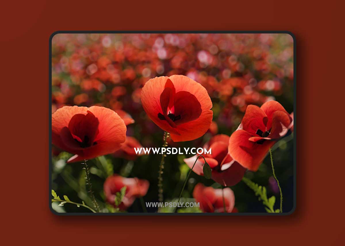 Megascans – Ground Cover Collection and Other (3D Plants)