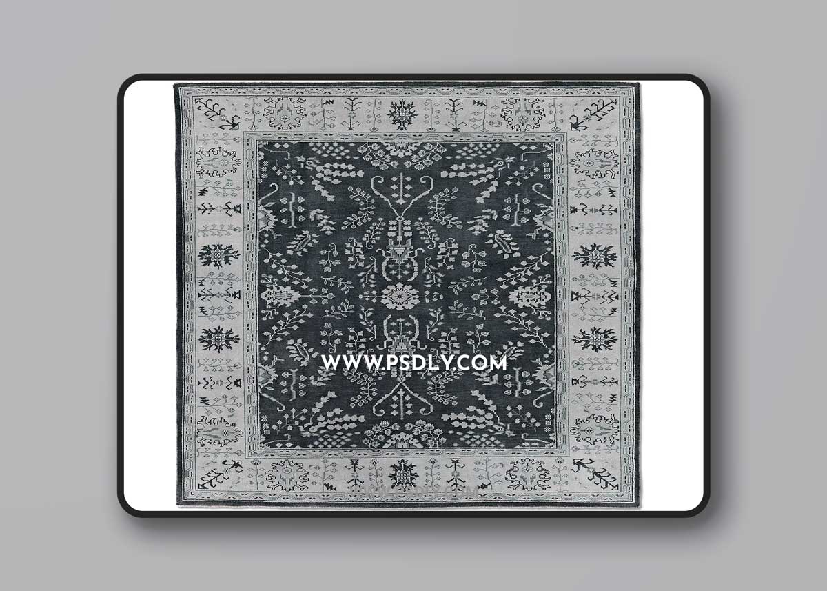 RH Nava Rug 3D Model
