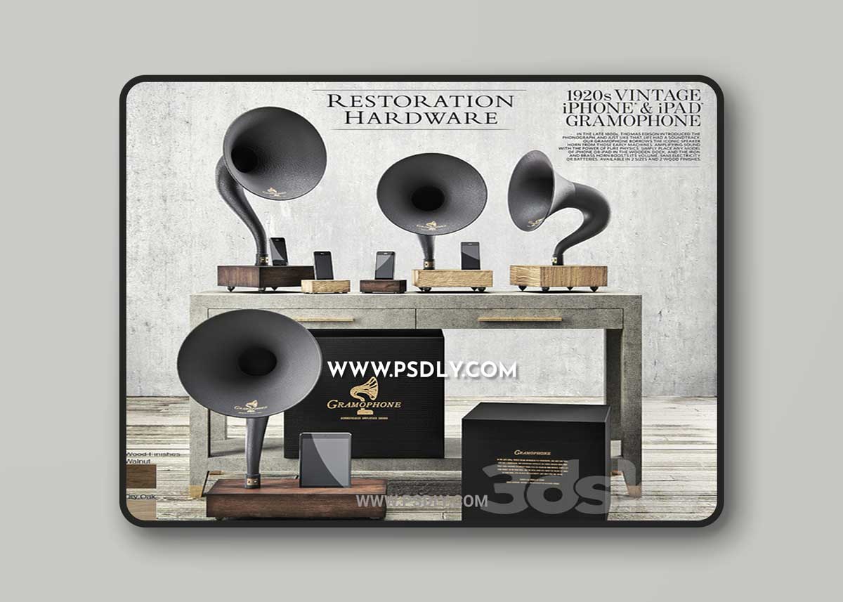 Restoration Hardware - Gramophone Set