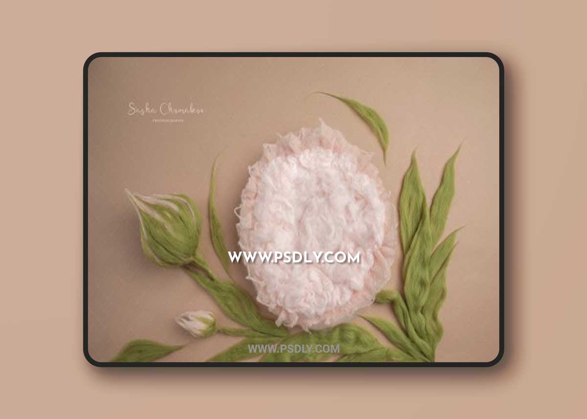 Sasha Chomakov - Newborn Digital Backdrop - Flower