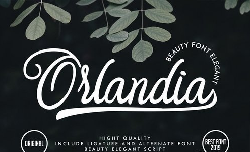 Orlandia | Beauty Font Elegant