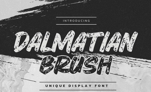 Dalmatian Brush - Unique Display Font