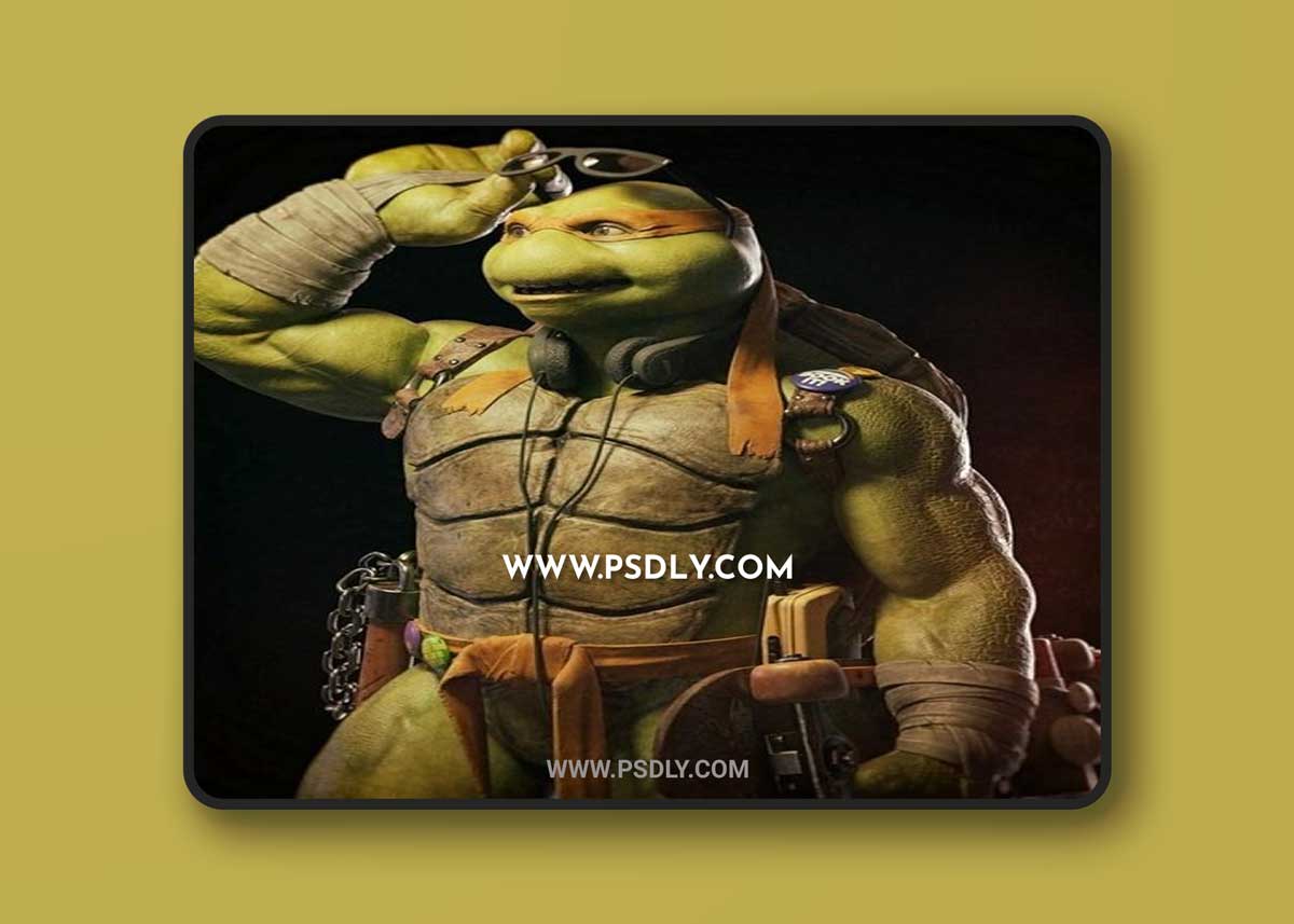 TMNT Michelangelo 3D Model