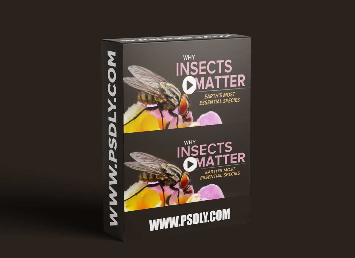 TTC - Why Insects Matter: Earth's Most Essential Species