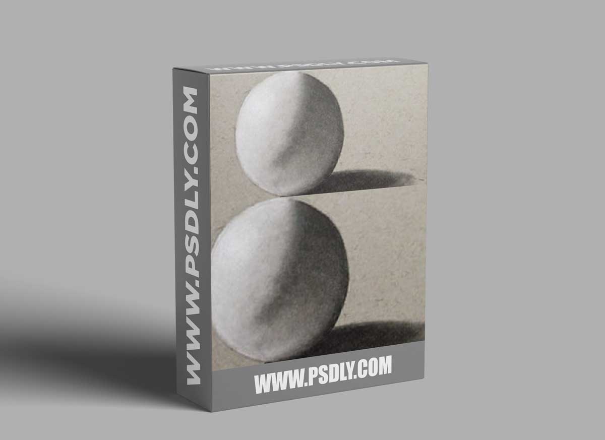 The Virtual Instructor - 25 Days to Better Drawings - Light and Shadow