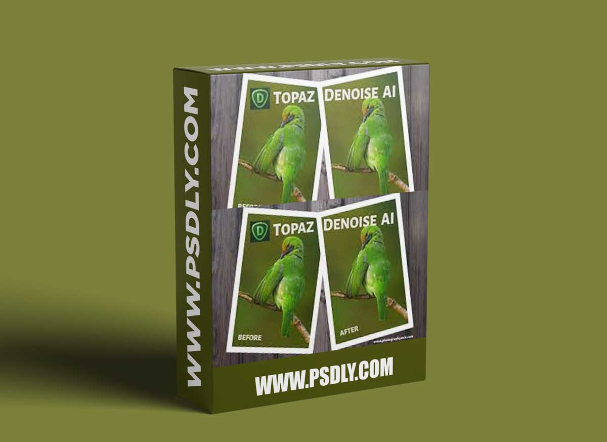 Topaz Denoise ai 3.4.2 Win x64