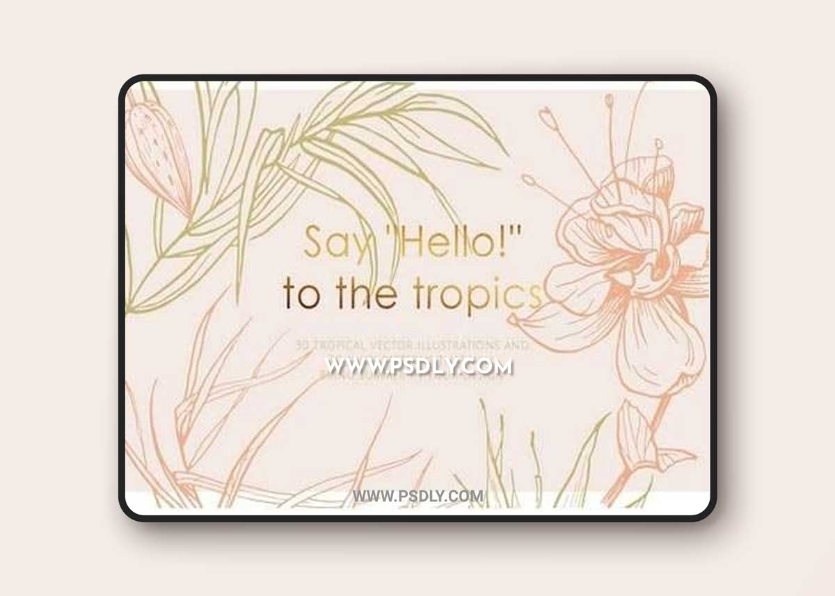 Tropical illustrations and patterns 2401904