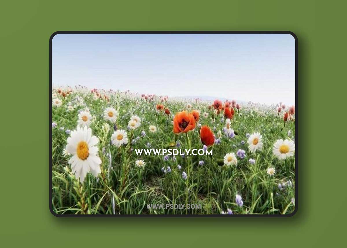 Unity Asset – Realistic Grass Flowers Pack
